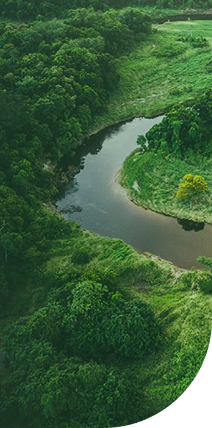 Aerial view of a winding river surrounded by lush green forest and grassland.